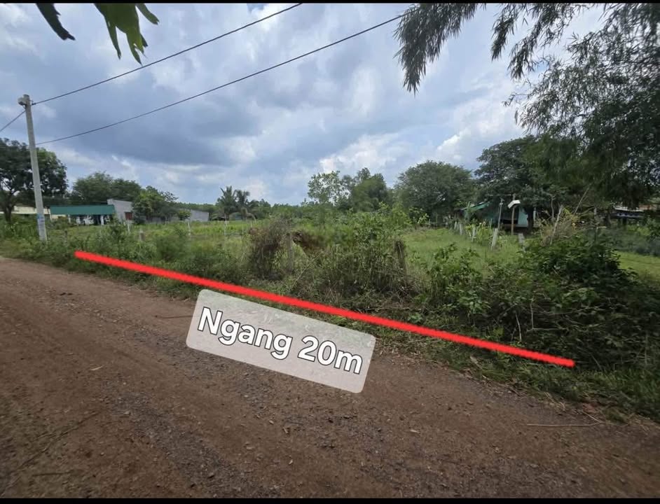 Đất Thắng Hải, Hàm Tân 1000m² giá 1.95 tỷ - Đầu tư lâu dài, gần biển!