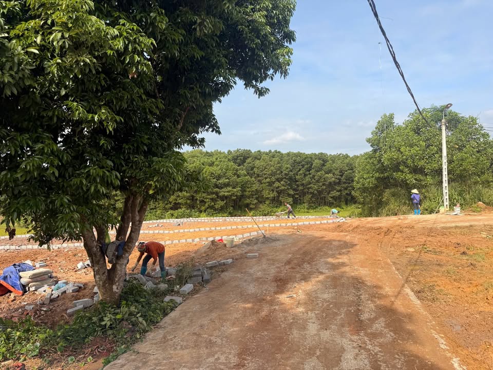 Đất nền Tân Cương Thái Nguyên 116m² giá 700 triệu - Đầu tư sinh lời ngay!