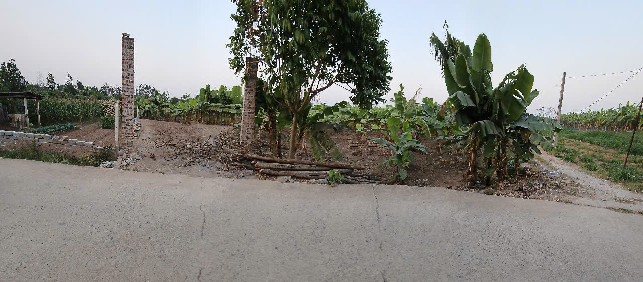 Đất đầu tư Vạn Phúc Thanh Trì 923m² giá 5.7 tỷ - Tiềm năng sinh lời cao!