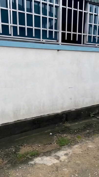 Đất Hưng Thông 173m² - Giá Thỏa Thuận - Đầu Tư Tiềm Năng