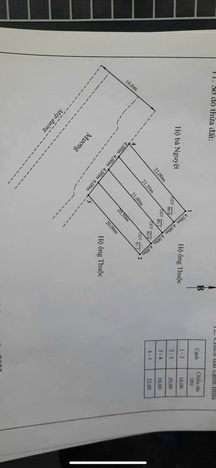 Đất nền phường Nam Đồ Sơn, Hải Phòng 83.5m² giá 2.146 tỷ - Cơ hội đầu tư hấp dẫn!