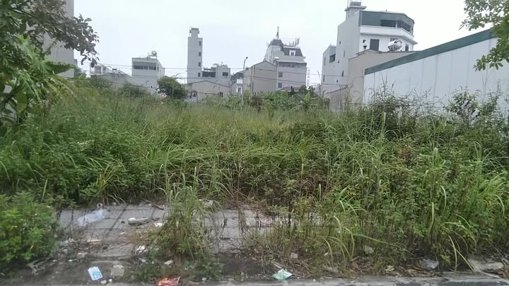 Đất nền KCN Thăng Long 3, 100m² chỉ 3 tỷ - Sổ hồng trao tay!