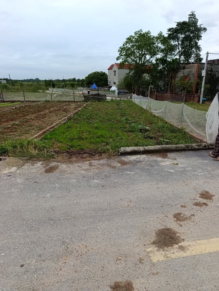 Đất thổ cư 99.5m² tại Xóm Đông Sơn, Sóc Sơn - Giá chỉ 3.582 tỷ VND!