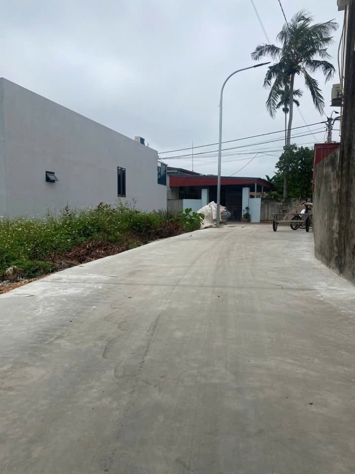 Đất nền Tân Viên An Lão 62m² giá chỉ 500 triệu - Cơ hội đầu tư tuyệt vời!