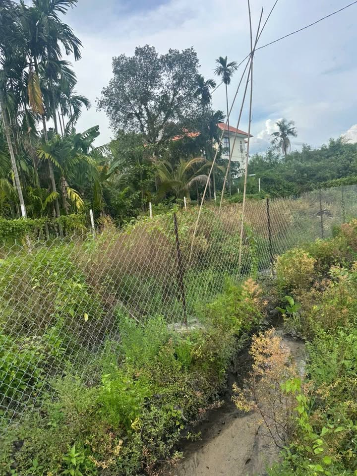 Đất nền Dĩ An 250m² giá 4.5 tỷ - Gần chợ Tân Bình, xây dựng tự do!