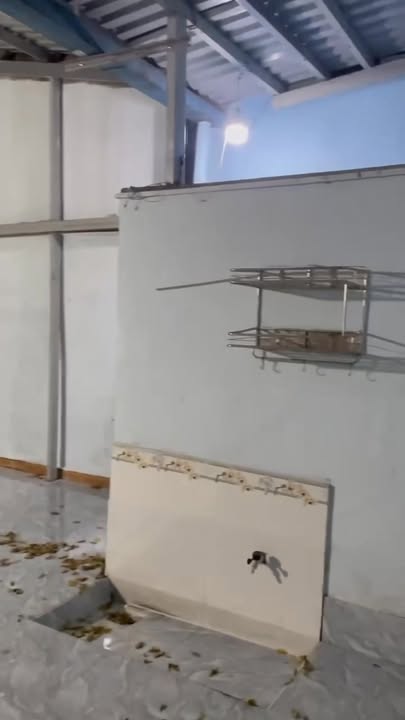 Kho xưởng cho thuê 160m² đường DT 743, Dĩ An - Giá chỉ 11 triệu/tháng!