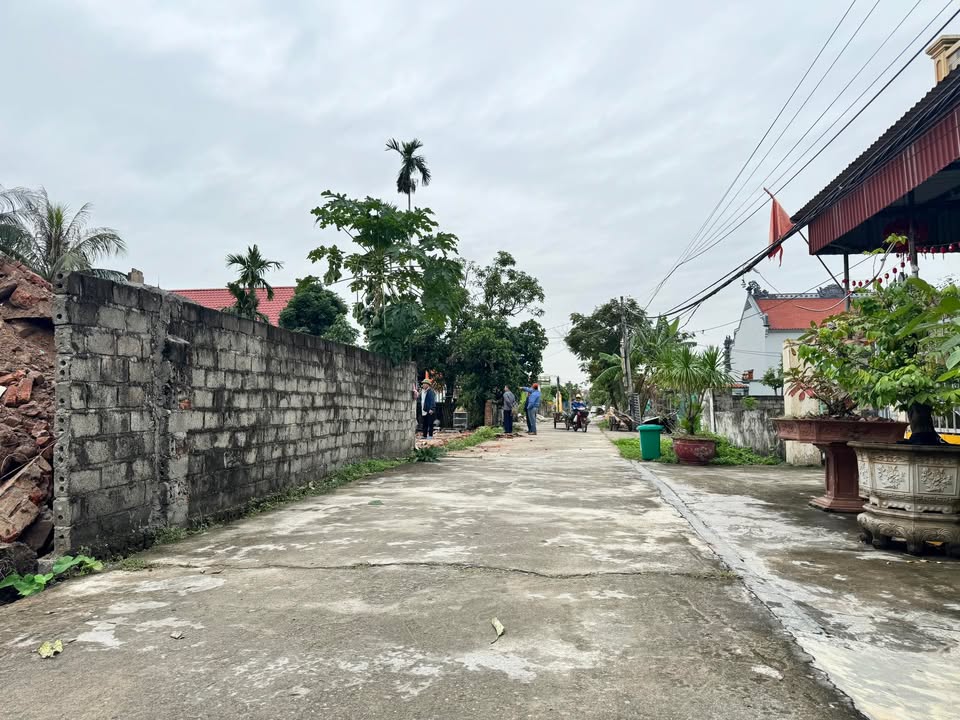 Đất nền thôn Thái Lai, xã Tân Phong, Hải Phòng 87m² giá 1.6 tỷ - Tiềm năng đầu tư lớn!