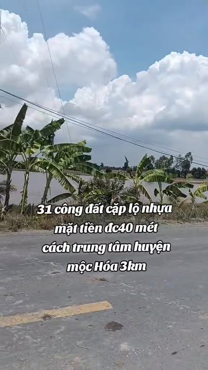 Đất nền 31 công tại Bình Phong Thạnh, Mộc Hóa, Long An giá 4.96 tỷ - Đường nhựa xe tải 8 tấn