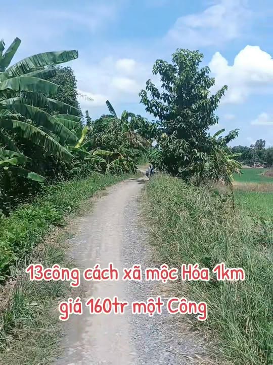 Đất nền 13 công tại thị trấn Bình Phong Thạnh, Mộc Hóa, Long An - Đầu tư sinh lời chỉ 2.08 tỷ!