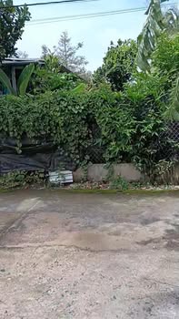 Đất nền liền kề tại Phường Nhị Quý, Cai Lậy - Giá chỉ 350 triệu!