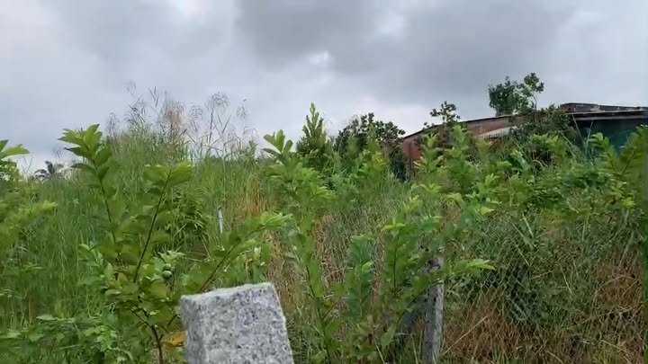 Đất vườn 822m² xã Long Trung giá 490 triệu - Tiện ích đầy đủ xung quanh!