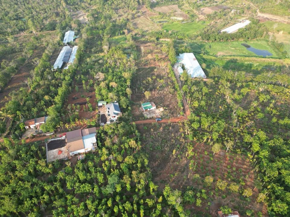 Đất thổ cư 500m² tại Cư Ewi, Cư Kuin - Giá chỉ 239 triệu - Cơ hội đầu tư hấp dẫn!