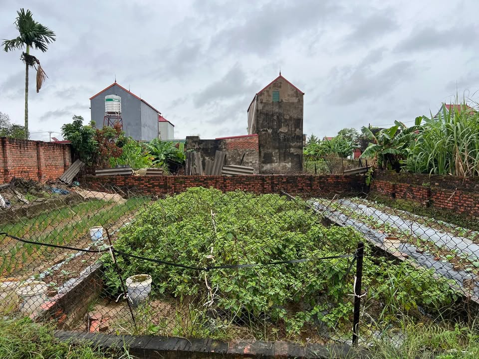 Đất nền Quang Tiến Sóc Sơn 63m² giá 2.268 tỷ - Cơ hội đầu tư tuyệt vời!