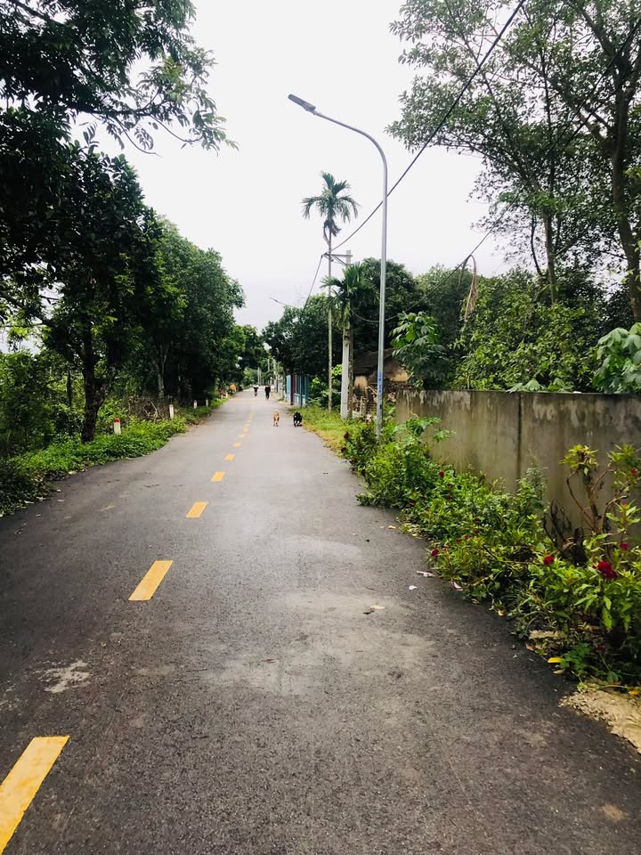 Nhà riêng Tả Thanh Oai 70m² giá 5 tỷ - Ô tô vào tận nơi!