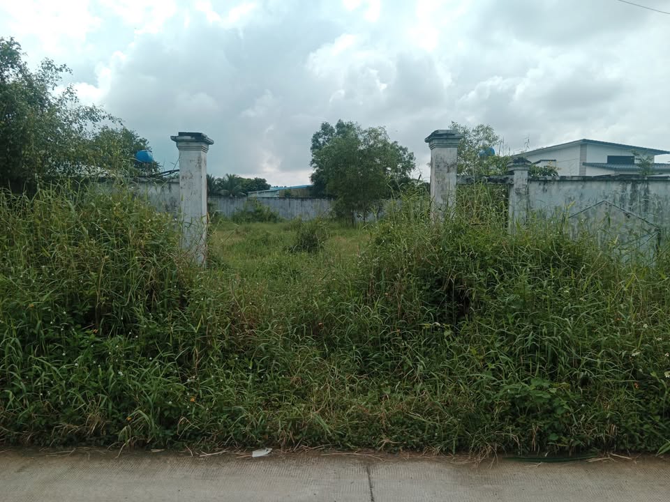 Đất mặt tiền Bà Cua - Phước Lợi, Bến Lức 800m² giá 8 tỷ - Đầu tư sinh lời ngay!