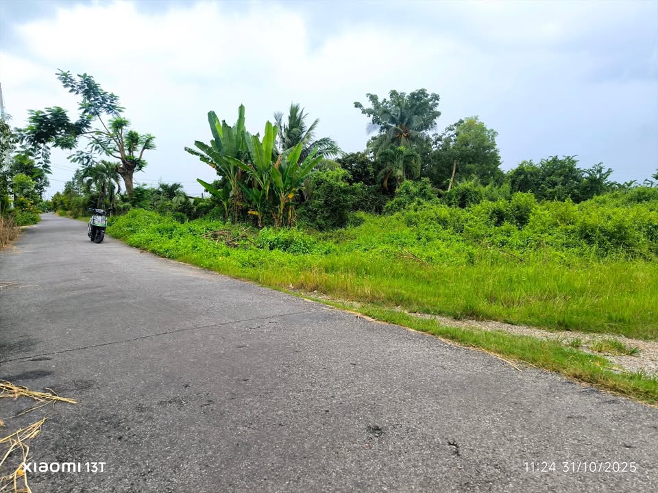 Đất vườn mặt tiền đường Lê Minh Xuân 1170m² giá 1.5 tỷ - Đầu tư sinh lời!