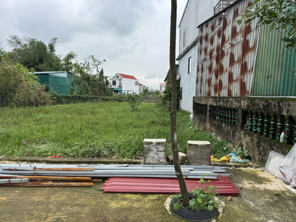 Đất mặt đường Trần Khánh Dư, Hưng Lộc 116,5m² - Vị trí kinh doanh đắc địa!