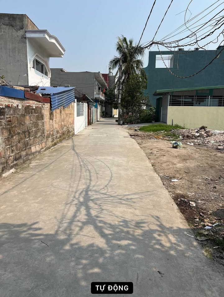 Đất nền lô góc Phù Liễn Kiến An 50.2m² giá 900 triệu - Pháp lý rõ ràng!