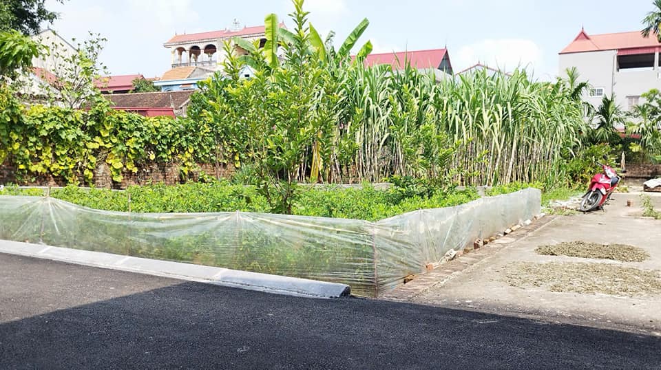 Đất nền Xuân Nộn Đông Anh 40m² giá 2 tỷ - Ô tô đỗ cửa, ở ngay!