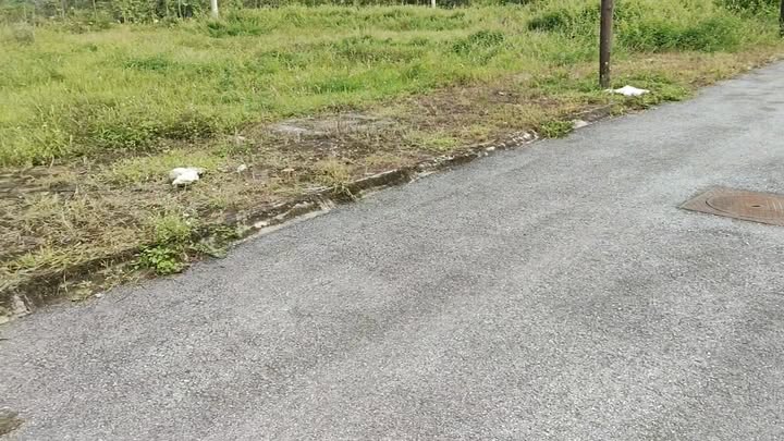 Đất đấu giá Tam Đồng Mê Linh 112m² giá 5.6 tỷ - Tiềm năng phát triển lớn!