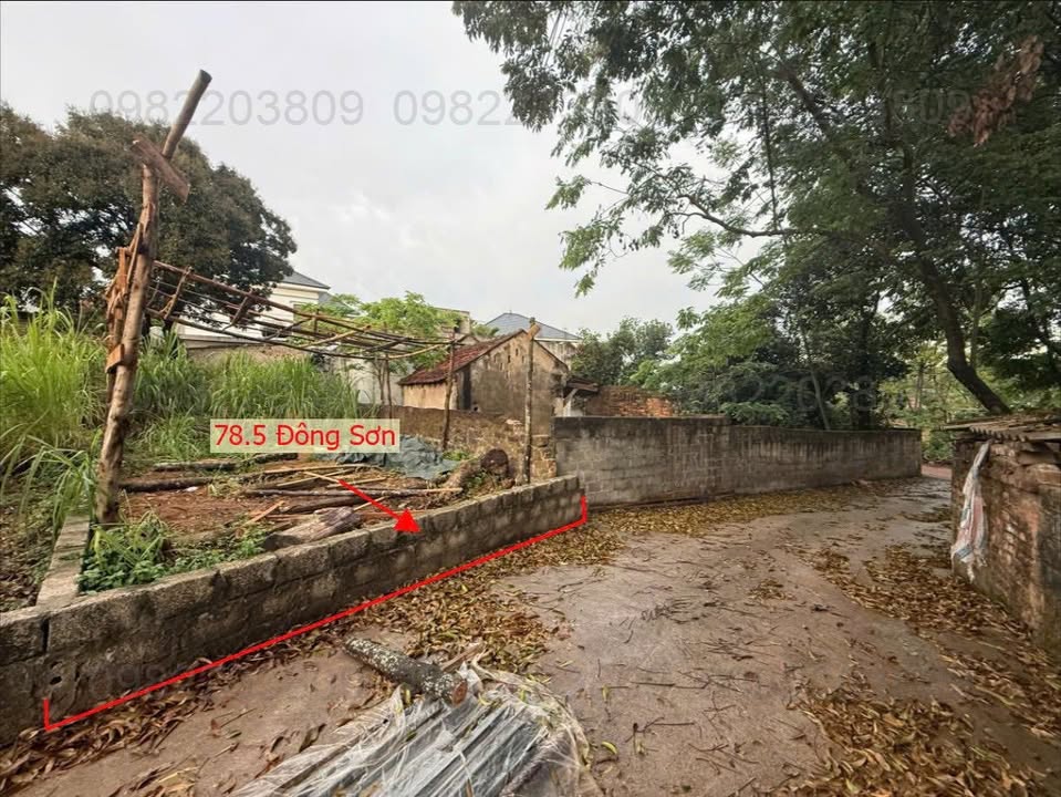 Đất phân lô Đông Sơn, Chương Mỹ 78.5m² chỉ 1 tỷ - Đầu tư sinh lời ngay!