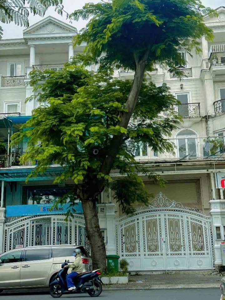 Nhà cho thuê đường Số 1, phường Tân Phú, quận 7 - Diện tích 120m², giá 60 triệu/tháng