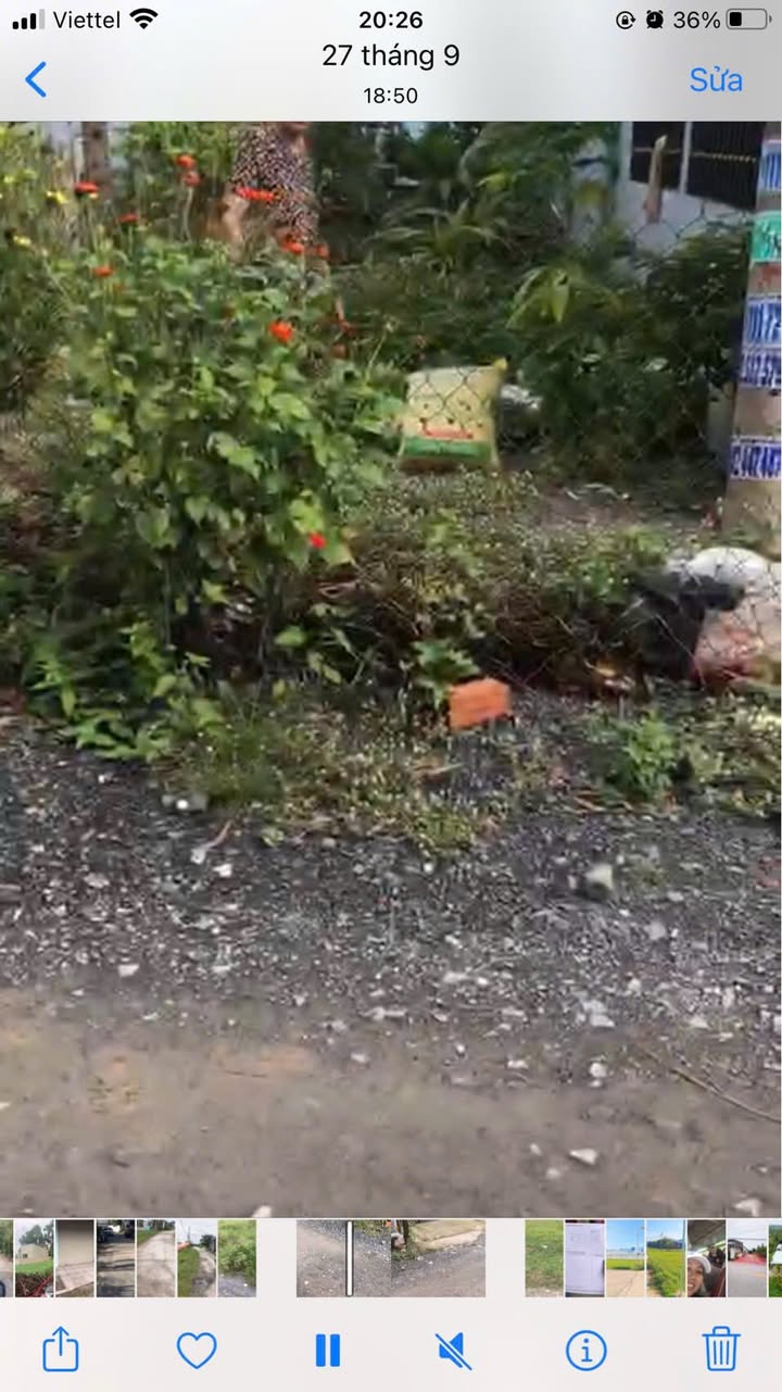 Đất nền thổ cư Mỹ Hạnh Bắc 176m² giá 1.35 tỷ - Đường nhựa rộng rãi, xây dựng tự do!