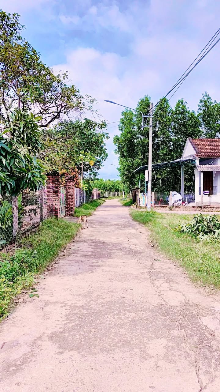 Đất nền Nhơn Tân, An Nhơn 112m² giá chỉ 300 triệu - Cơ hội đầu tư tuyệt vời!