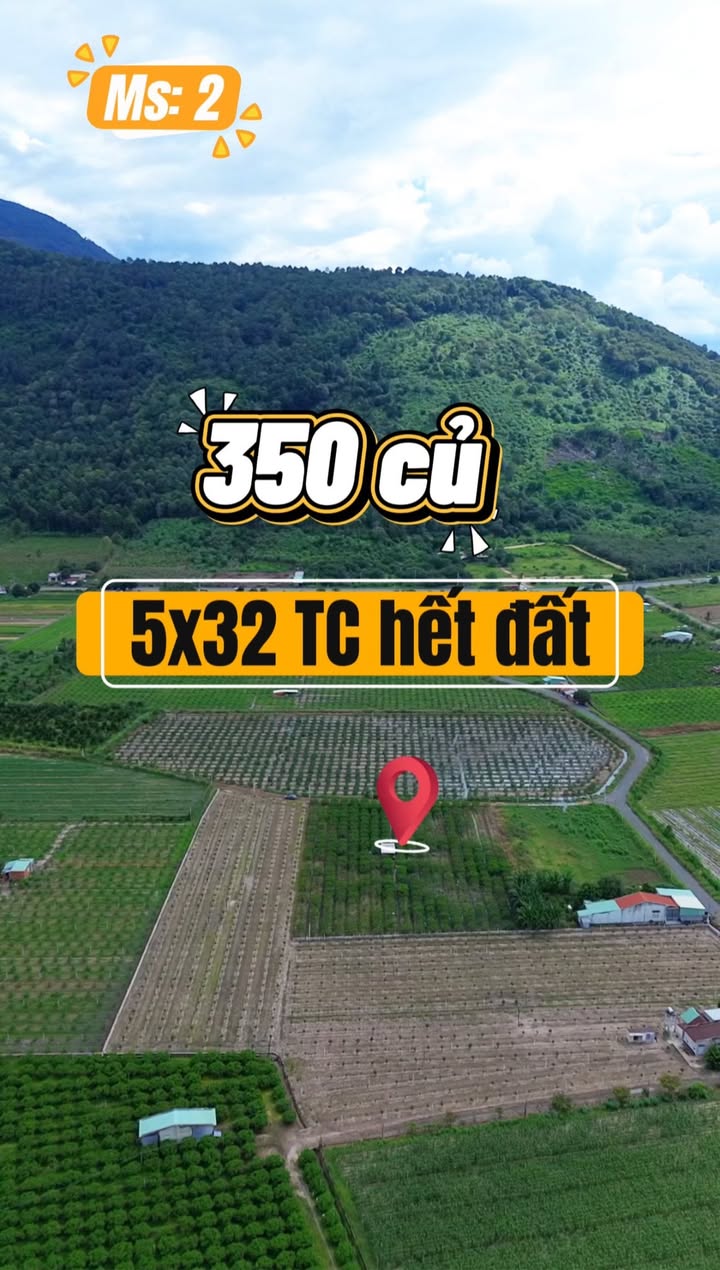 Đất nền Thạnh Tân 160m² giá tốt - Đầu tư sinh lời ngay!