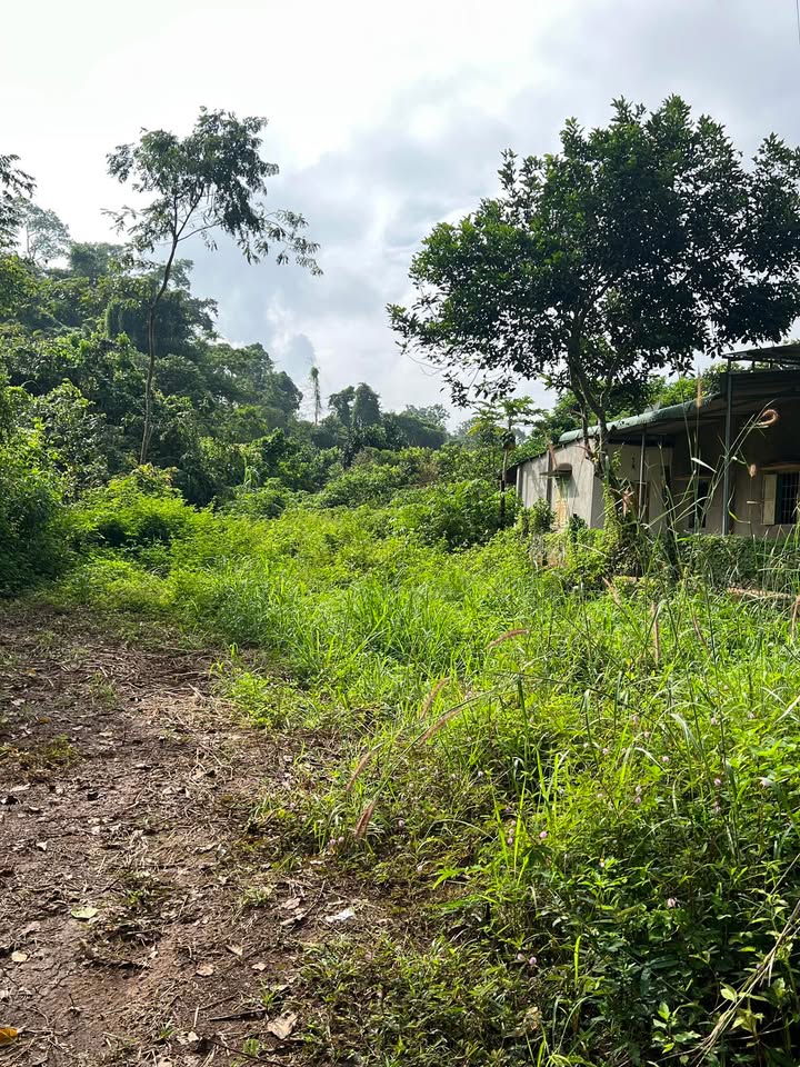 Đất vườn 1100m² tại Hàng Gòn, Long Khánh - Giá chỉ 1.4 tỷ, sổ đỏ chính chủ!