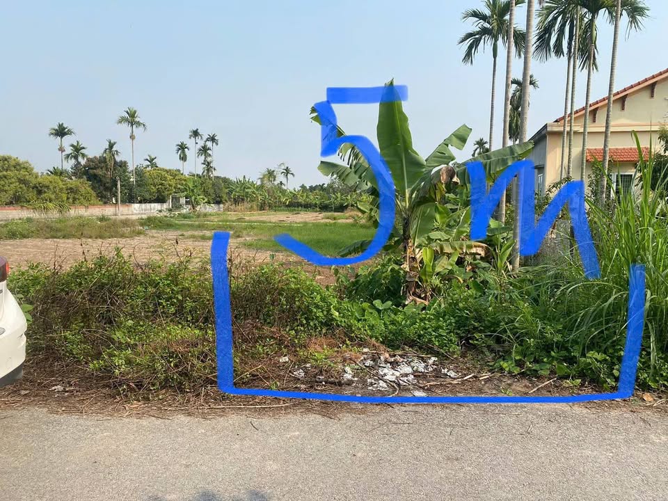 Đất nền 93m² tại xã Bát Trang, An Lão chỉ 1.4 tỷ - Vị trí đắc địa gần KCN!