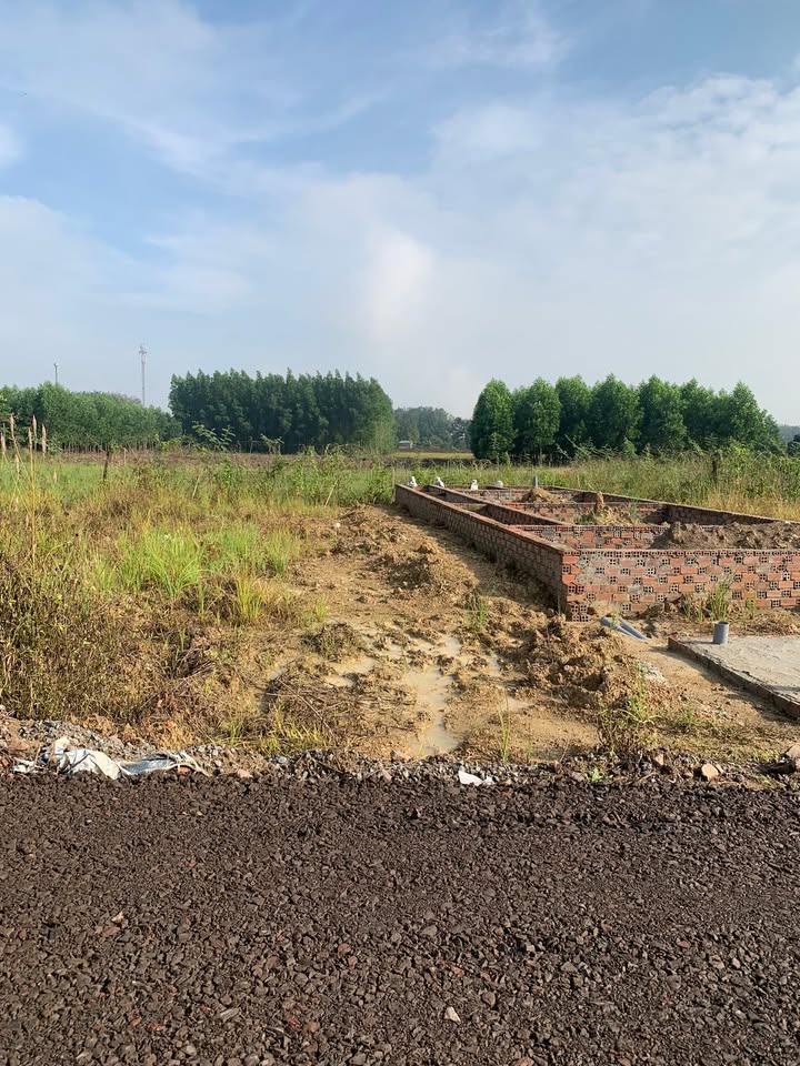 Đất thổ cư An Viễn Trảng Bom 215m² giá 1.3 tỷ - Sổ đỏ chính chủ, chỉ 1km đến KCN!