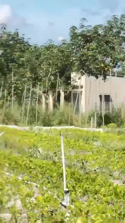 Đất nền Chơn Thành, Bình Phước 200m² giá chỉ 3xx triệu - Sổ đỏ chính chủ!