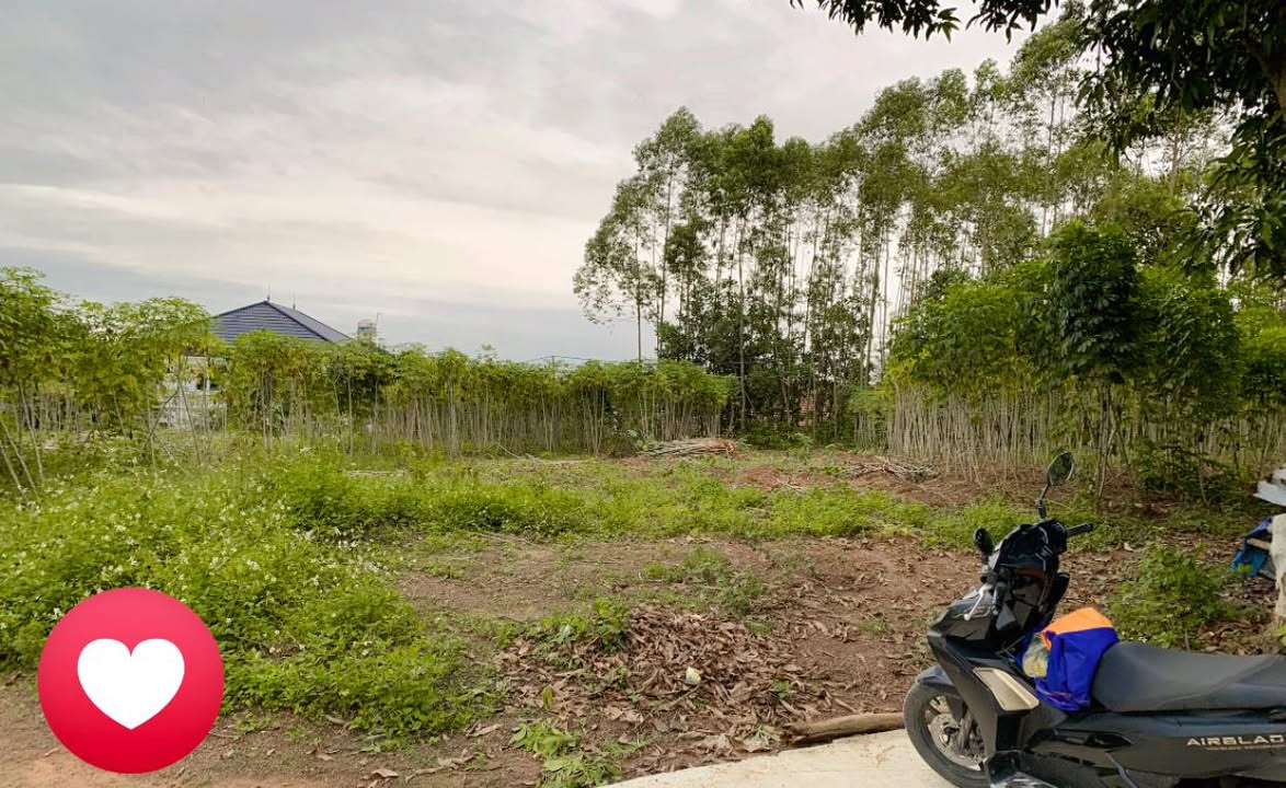 Đất nền Phú Thọ 2000m² - Mặt tiền rộng, phân lô thoải mái!