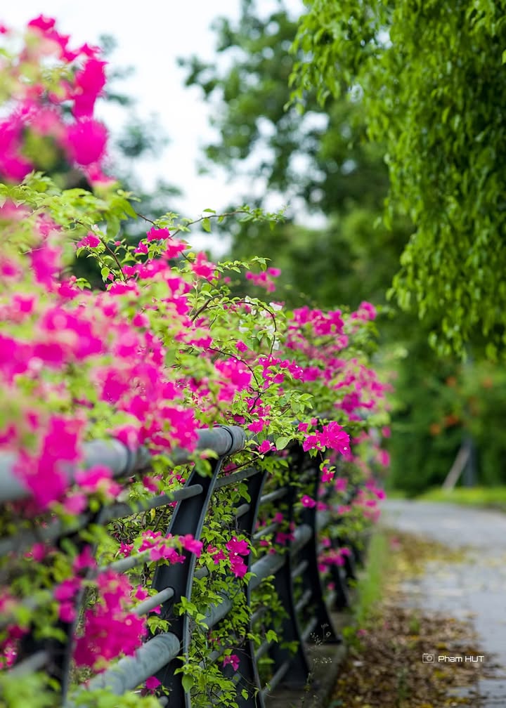 Căn hộ Aquabay Văn Giang 69m² giá chỉ 4.6 tỷ - View thoáng, nội thất đầy đủ!