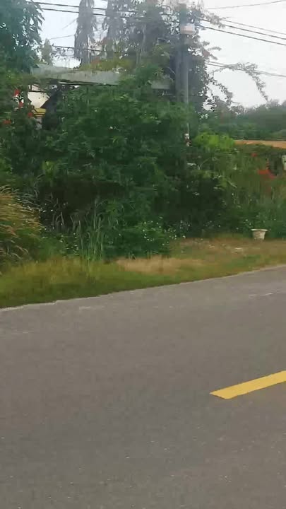 Đất nền mặt tiền đường 239, Chơn Thành 250m² giá chỉ 800 triệu - Cơ hội đầu tư tuyệt vời!