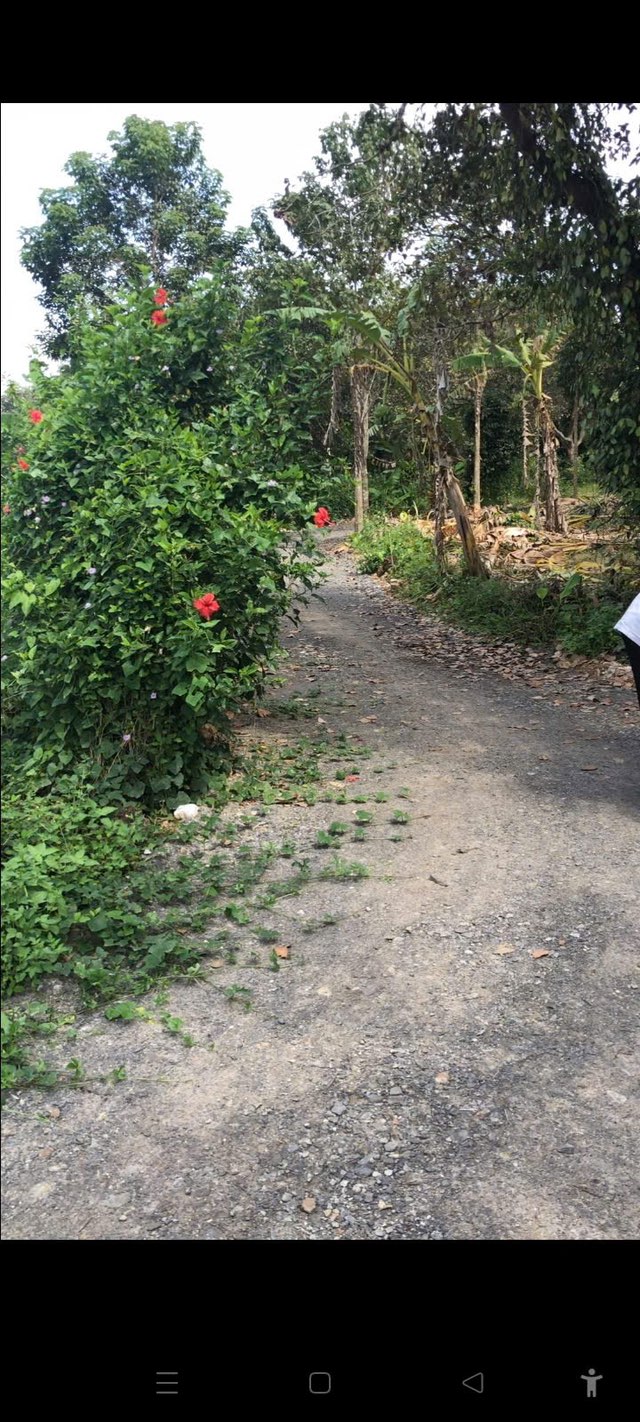 Đất nền 1400m² Xã Phú Lợi - Mặt tiền bao La giá 550 triệu - Cơ hội đầu tư tuyệt vời!