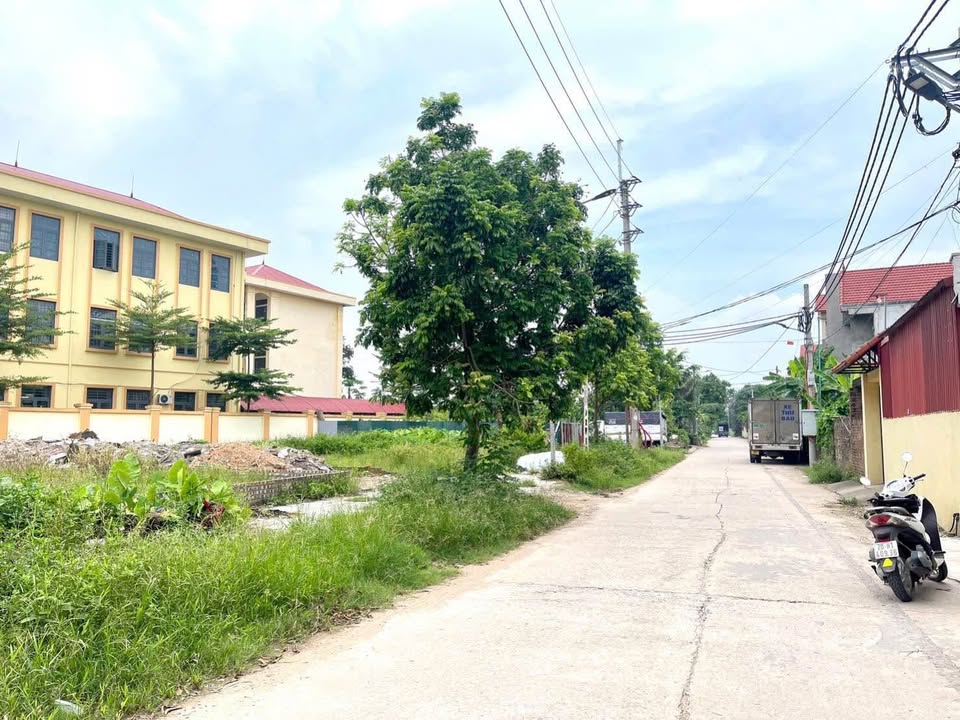 Đất đấu giá Ngự Tiền, Thanh Lâm, Mê Linh 115m² - Tiềm năng tăng giá cao!