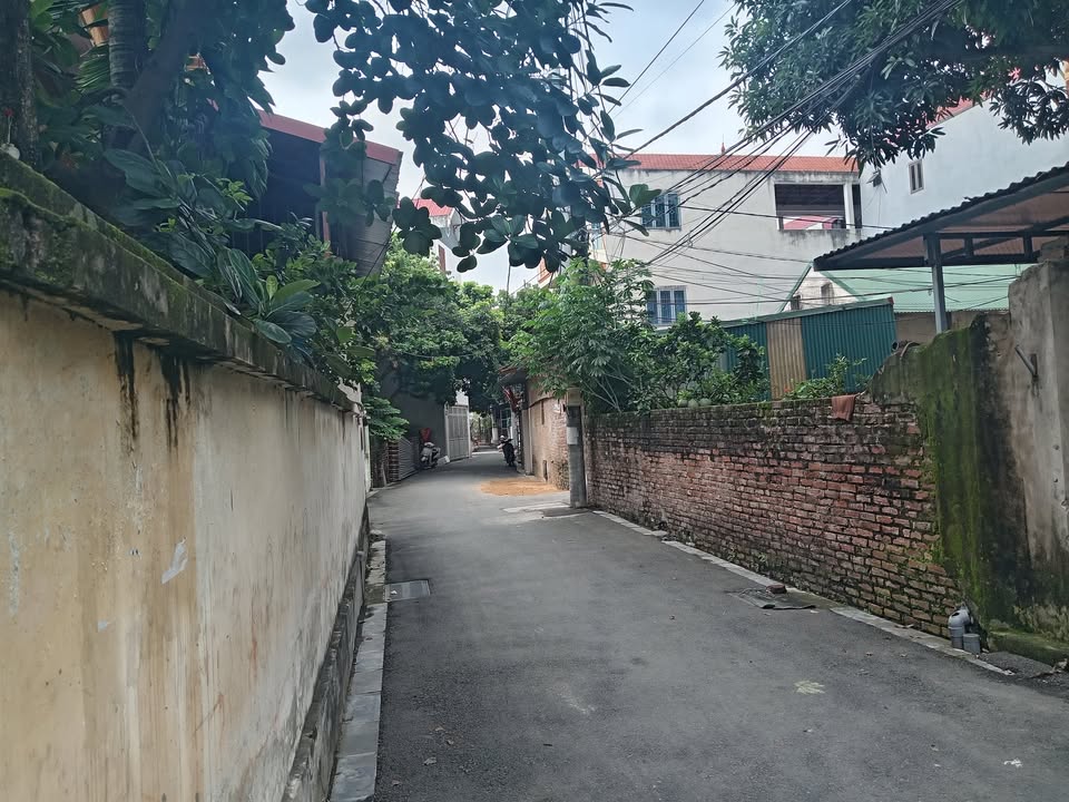 Đất nền Kim Chung Đông Anh 110m² - Vị trí đắc địa, tiềm năng sinh lời cao!