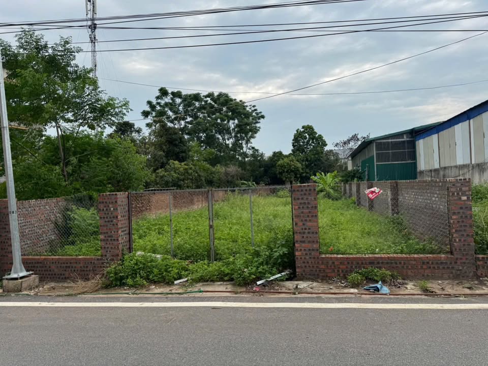 Đất nền đường Thanh Sơn, xã Kim Anh, 519m² - Đầu tư sinh lời tuyệt vời!