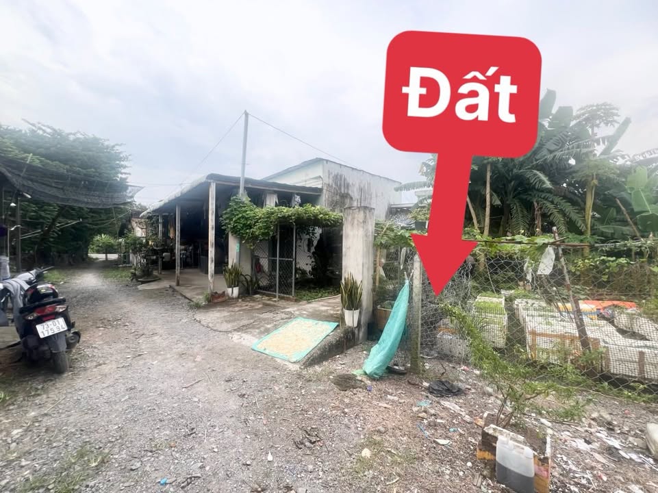 Đất sổ đỏ Tân Hiệp Tân Uyên 102m² giá 1.13 tỷ - Đầu tư sinh lời tốt!