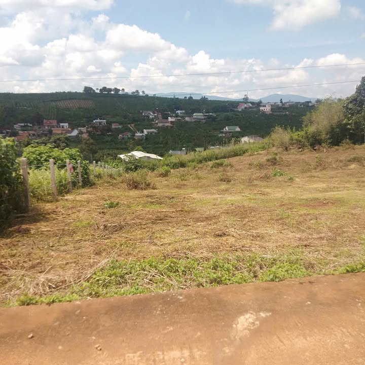 Đất vườn Tân Châu, Di Linh 1000m² giá 1.15 tỷ - View đồi núi thoáng đãng!