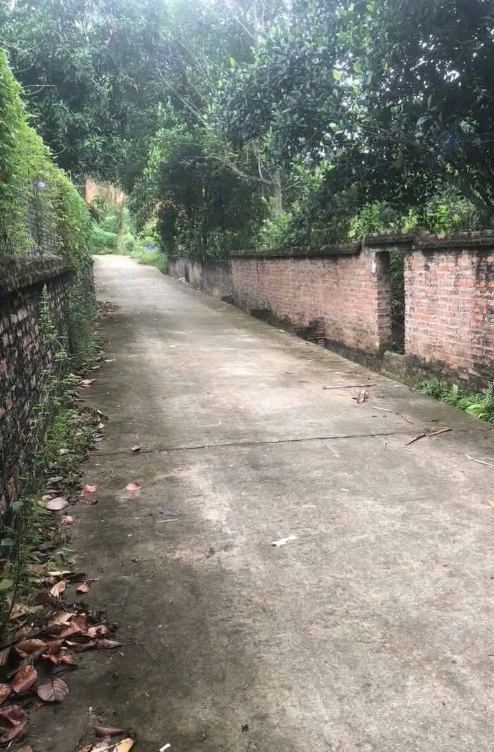 Đất nền Kim Đức, Việt Trì 175m² giá chỉ 1 tỷ - Cơ hội đầu tư tuyệt vời!