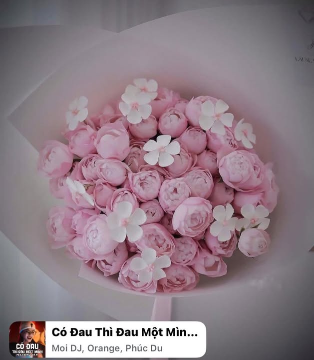 Đất nền Phường Tân Lập, Buôn Ma Thuột 287m² giá 1.55 tỷ - Đầu tư sinh lời ngay!