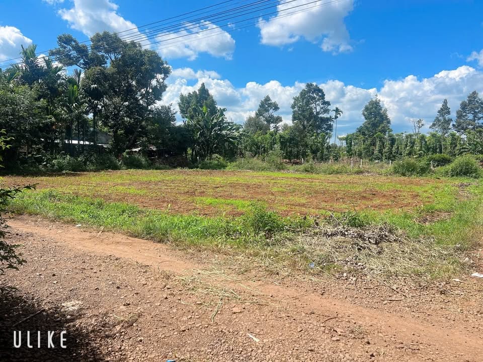 Đất nền Cư Kuin Đắk Lắk 550m² giá 1.1 tỷ - Cơ hội đầu tư tuyệt vời!