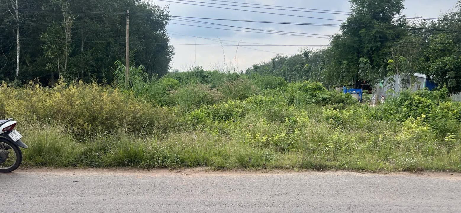 Đất nền Long Hoà, Cần Giờ 6600m² giá 4 tỷ - Mặt tiền đường DT749A