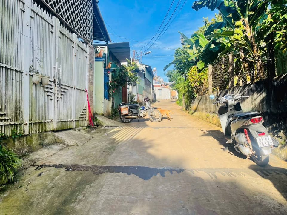 Nhà hẻm 56 Ngô Gia Khảm, Pleiku 100m² - Sẵn sàng vào ở!