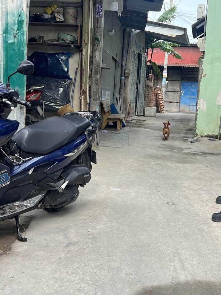 Đất thổ cư 60m² tại Hóc Môn chỉ 2,2 tỷ - Cơ hội hiếm có cho nhà đầu tư!