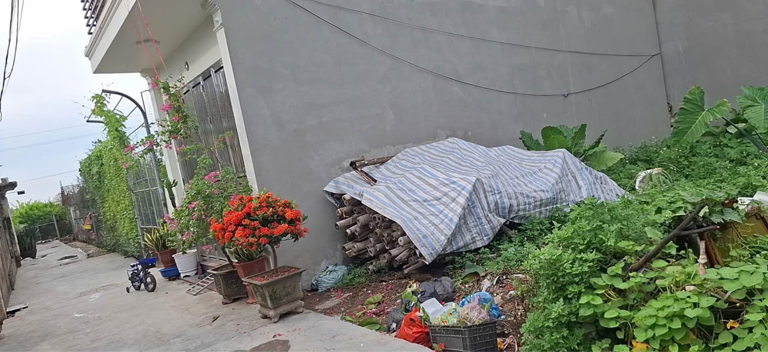 Đất Trần Lãm Thái Bình 40,4m² giá 1 tỷ - Tiềm năng tăng giá cao!