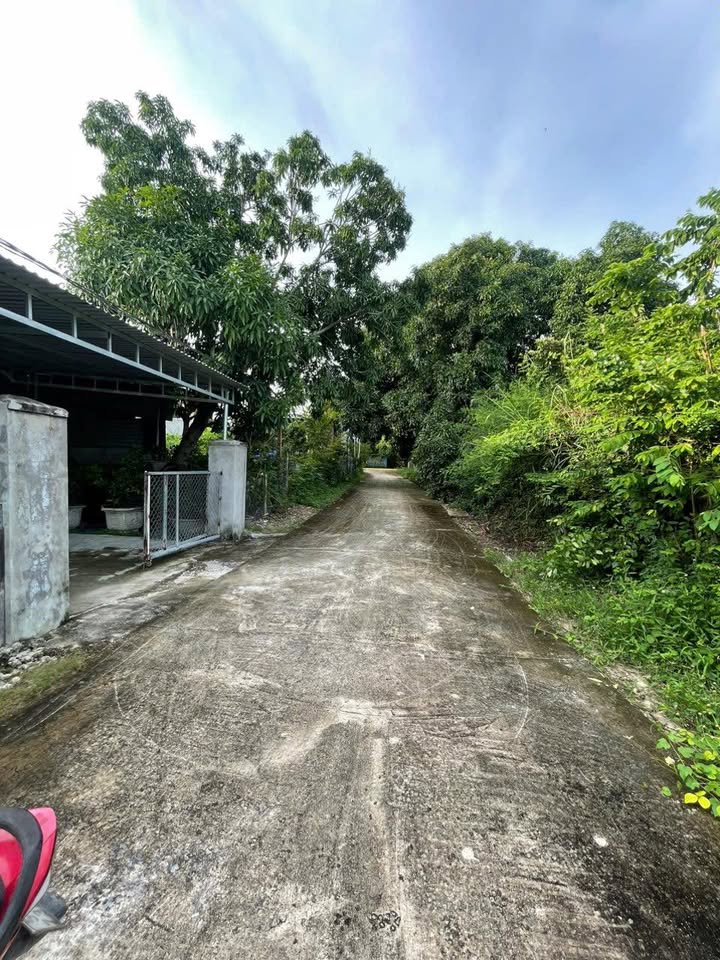 Đất nền Cam Thành Bắc 624m² giá chỉ 1.9 tỷ - Đầu tư sinh lời ngay!